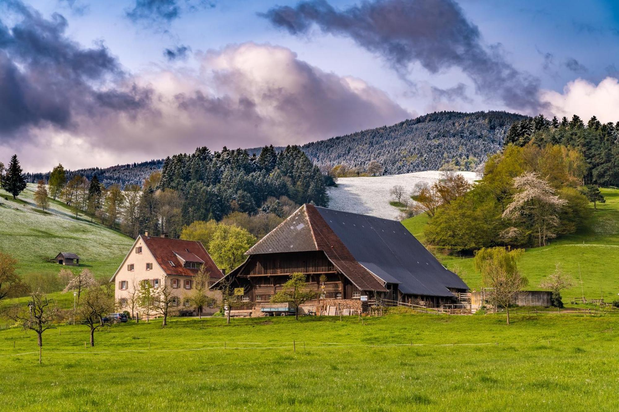 Fewo Sunneschii, Hoechenschwand, Dorf Am Himmel, Sauna Im Haus Apartment ภายนอก รูปภาพ